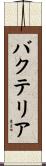 バクテリア Scroll