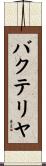 バクテリヤ Scroll
