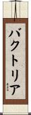 バクトリア Scroll