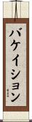 バケイション Scroll