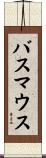 バスマウス Scroll