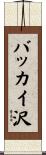 バッカイ沢 Scroll