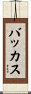 Bacchus Scroll