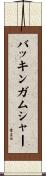 バッキンガムシャー Scroll