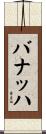 バナッハ Scroll