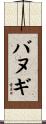 バヌギ Scroll