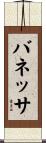 バネッサ Scroll