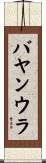 バヤンウラ Scroll