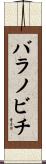 バラノビチ Scroll