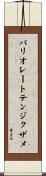 バリオレートテンジクザメ Scroll