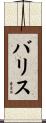 Burris Scroll