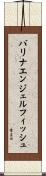 バリナエンジェルフィッシュ Scroll