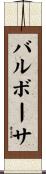 バルボーサ Scroll