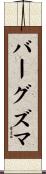 バーグズマ Scroll