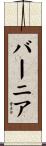 バーニア Scroll
