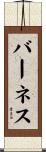 Barnes Scroll