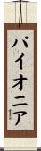 パイオニア Scroll