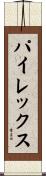 パイレックス Scroll