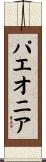 パエオニア Scroll