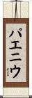パエニウ Scroll