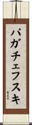 パガチェフスキ Scroll