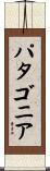 パタゴニア Scroll