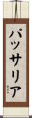 パッサリア Scroll