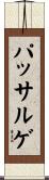 パッサルゲ Scroll
