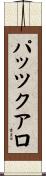 パッツクアロ Scroll
