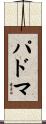 Padma Scroll