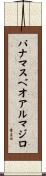 パナマスベオアルマジロ Scroll