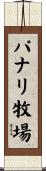 パナリ牧場 Scroll