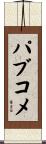 パブコメ Scroll