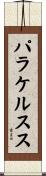 パラケルスス Scroll