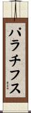 パラチフス Scroll