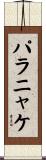 パラニャケ Scroll