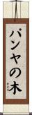 パンヤの木 Scroll