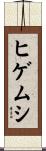 ヒゲムシ Scroll