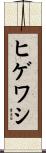ヒゲワシ Scroll