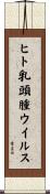 ヒト乳頭腫ウイルス Scroll