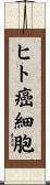 ヒト癌細胞 Scroll