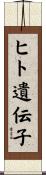 ヒト遺伝子 Scroll
