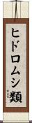 ヒドロムシ類 Scroll