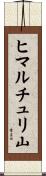 ヒマルチュリ山 Scroll