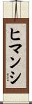 Himanshi Scroll