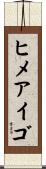 ヒメアイゴ Scroll