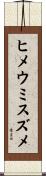 ヒメウミスズメ Scroll