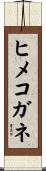 ヒメコガネ Scroll