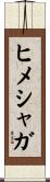 ヒメシャガ Scroll