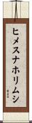 ヒメスナホリムシ Scroll